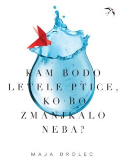 Kam bodo letele ptice, ko bo zmanjkalo neba?